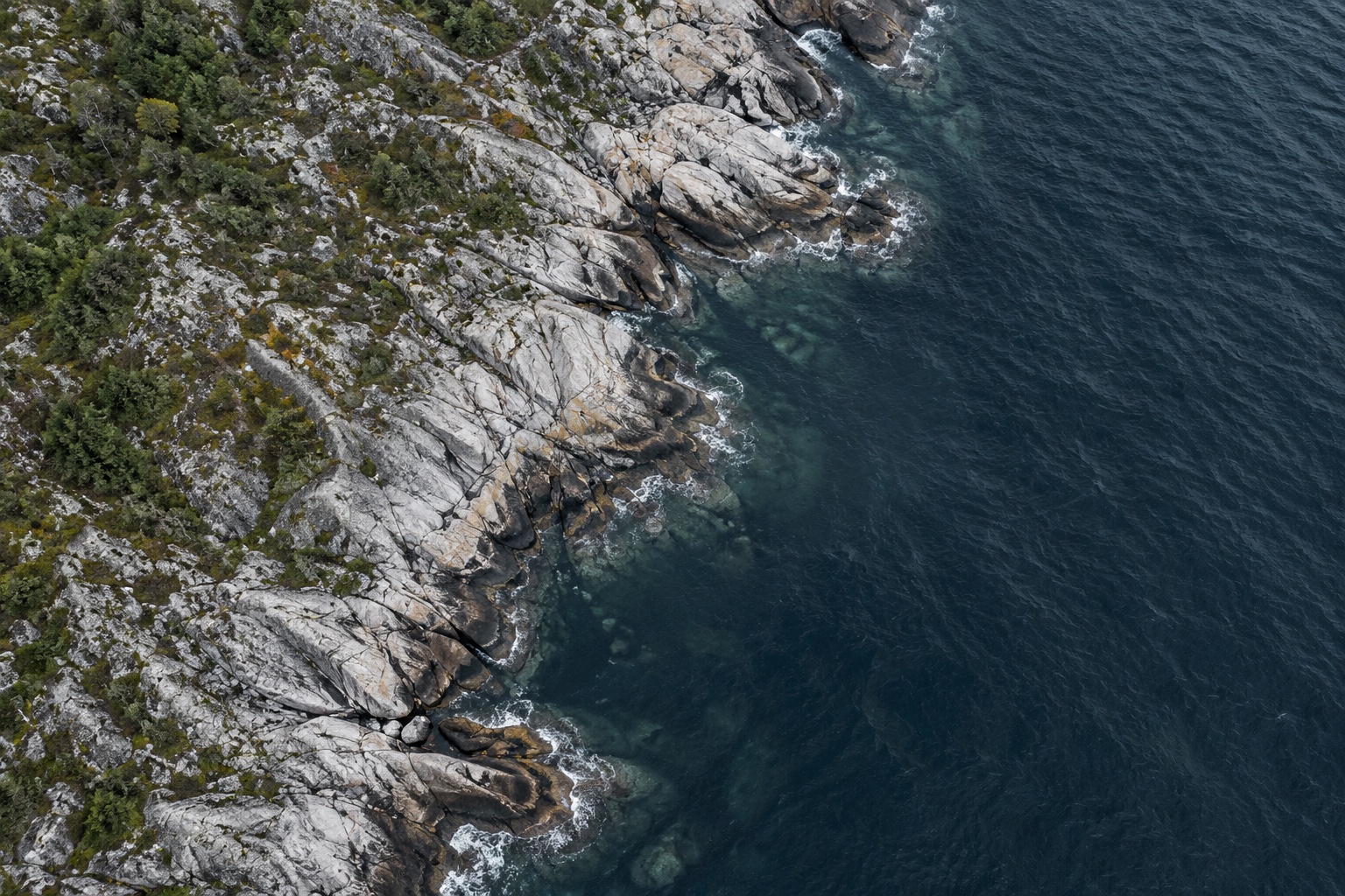Pale granite and evergreen vegetation meeting dark blue-grey coastal water, viewed from above